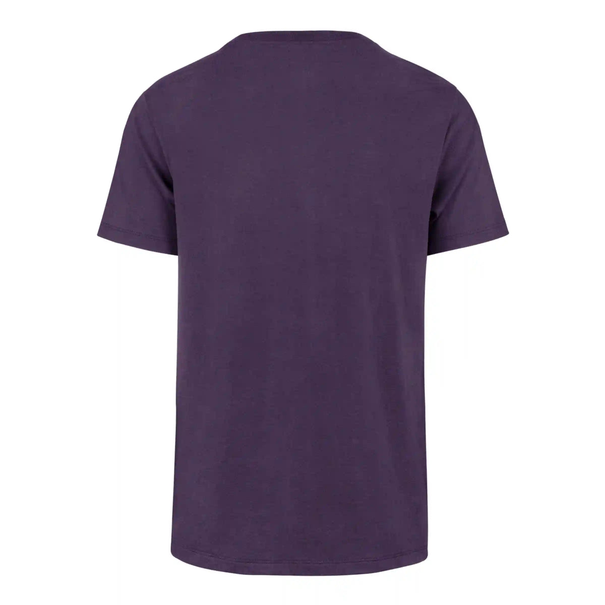 CHARLOTTE HORNETS PREMIER '47 FRANKLIN TEE