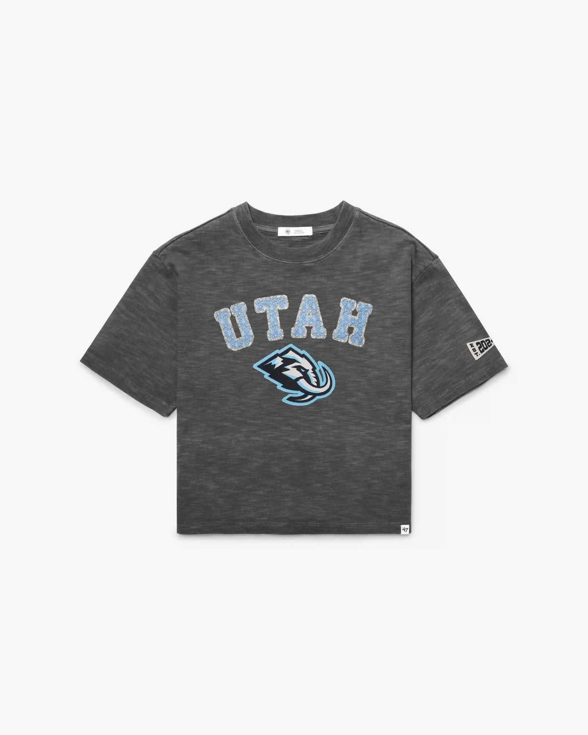 UTAH MAMMOTH ELMORE WELL WORN '47 HEAVY SLUB TEE WOMENS
