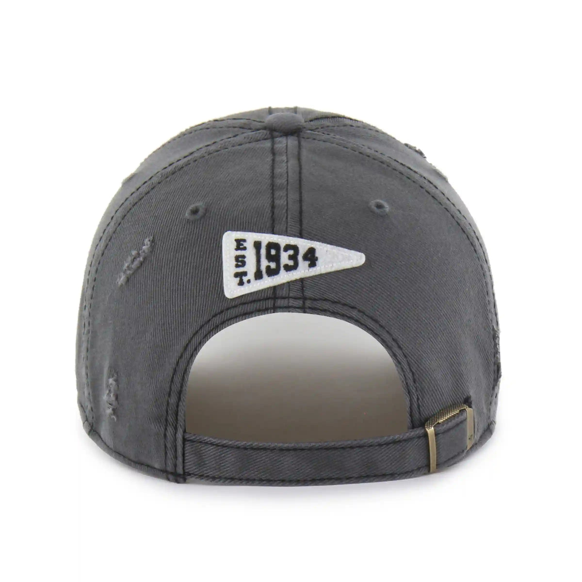 DETROIT LIONS HISTORIC SEYMOORE '47 CLEAN UP