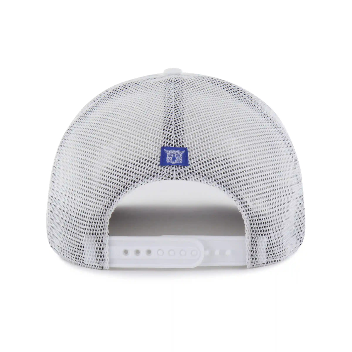 Kentucky Wildcats Vintage Flock Ball '47 Hitch