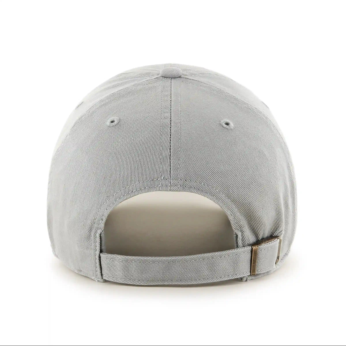 DETROIT LIONS HISTORIC '47 CLEAN UP