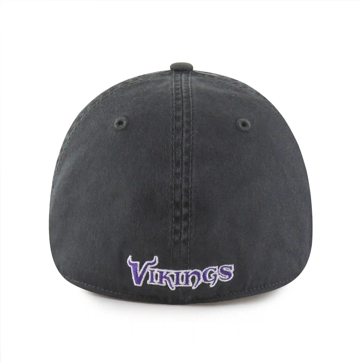 MINNESOTA VIKINGS CLASSIC '47 FRANCHISE