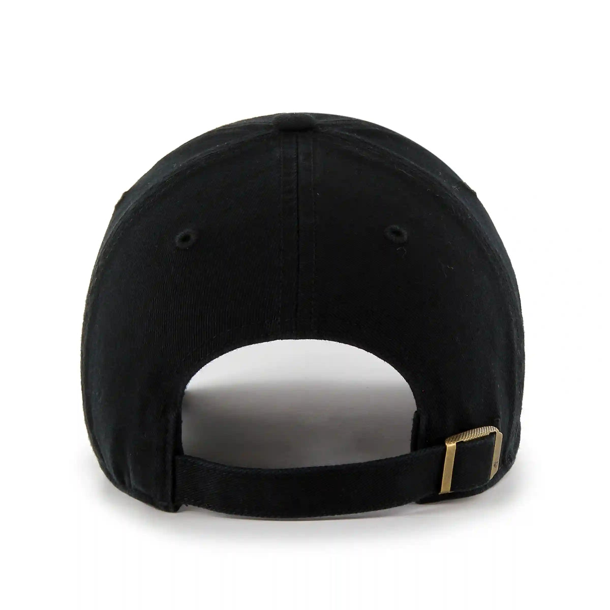 EL PASO CHIHUAHUAS HERITAGE '47 CLEAN UP